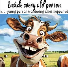 a cartoon cow with the caption inside every old person is a young person wondering what happened