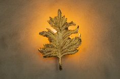 a golden leaf shaped light on the wall