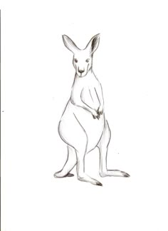 a drawing of a kangaroo sitting on its hind legs