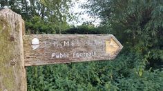 a wooden sign pointing in opposite directions to the woods