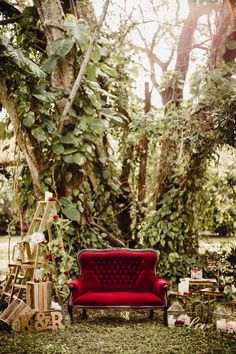 a red couch sitting in the middle of a lush green forest filled with lots of trees