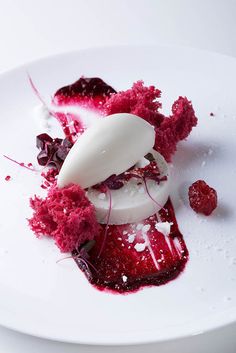 a piece of food that is sitting on a white plate with raspberry sauce