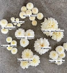 white flowers arranged in the shape of a circle with words written on each flower petals