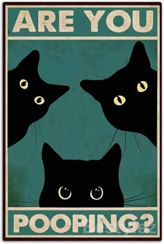 three black cats with yellow eyes are looking at each other and the words are you pooping?