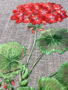 red flowers and green leaves on a burlocked surface