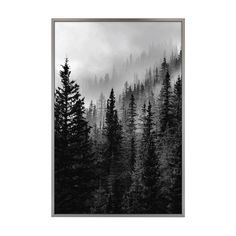 black and white photograph of trees with fog in the sky above them, framed in wood frame