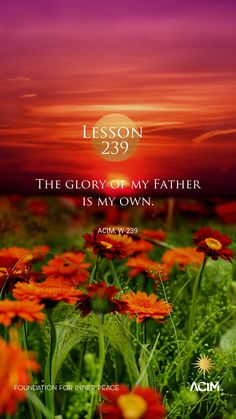 an orange flower field with the sun setting in the background and text that reads, lesson 208 salvation of the world defends on me