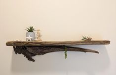 a wooden shelf with two plants on it