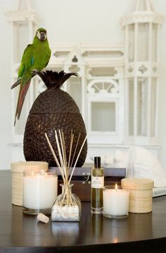 a green parrot sitting on top of a pineapple vase next to candles and other items