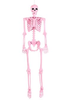 a pink skeleton hanging from the ceiling with its arms and legs spread out, it is looking