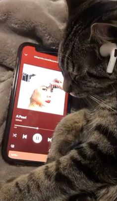 a cat laying on top of a bed next to a cell phone with an image of a woman