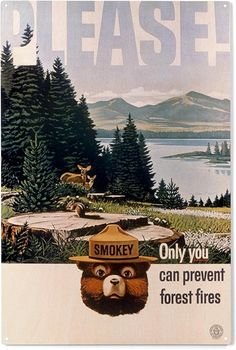 an advertisement for smokey mountain forest fires featuring a bear wearing a hat with the words, please only you can prevent forest fires