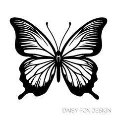 a black and white butterfly with the words daisy fox design on it's wings