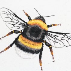 a close up of a bee on a white surface