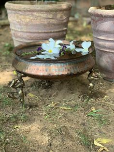 two flower pots with flowers in them sitting on the ground