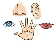 four different types of eyes and hands with one hand up to the viewer's eye