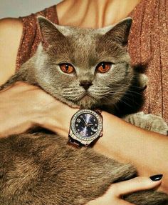 a woman holding a cat in her arms with a watch on it's wrist