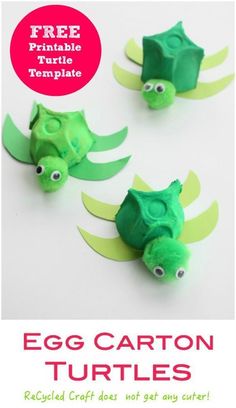 an egg carton turtle craft for kids to make