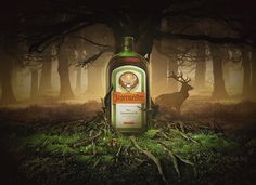 a bottle of alcohol sitting in the middle of a forest