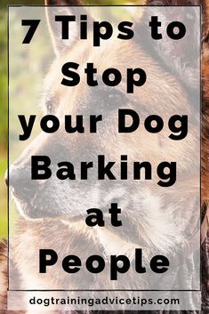 a dog with the words 7 tips to stop your dog barking at people on it