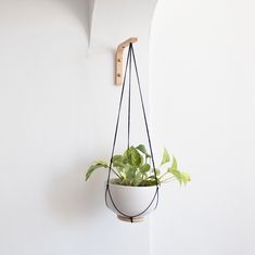 a potted plant hanging from a hook on a wall