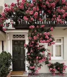 pink roses growing on the side of a white house