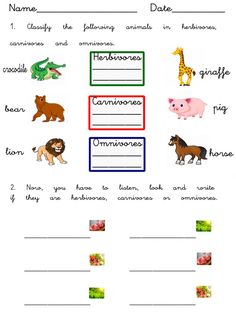 worksheet with animals and their names