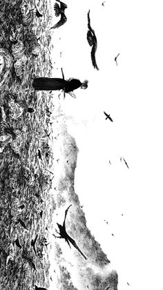 black and white photograph of birds flying over water