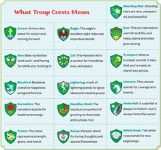 what troop crests mean info sheet