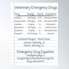 High-quality posters to hang in dorms, bedrooms or offices. Multiple sizes are available. Printed on 185gsm semi gloss poster paper. Additional sizes are available. Veterinary Emergency, Nursing Notes, Quality Posters, Sale Poster, Nursing, For Sale, High Quality