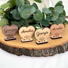 three wooden hearts with names on them are sitting on a tree stump and surrounded by greenery