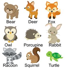 the different types of animals that are in each letter