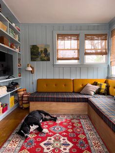 a dog laying on top of a rug in a living room next to a couch