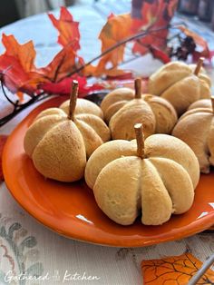 small pumpkins are arranged on an orange plate