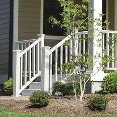 a small tree in front of a house with white railings and bushes around it