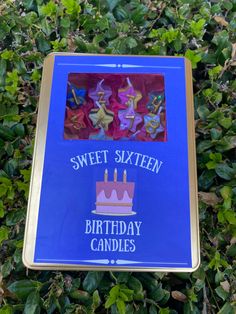 a blue sign that says sweet sixteen birthday candles on it's side in front of some bushes