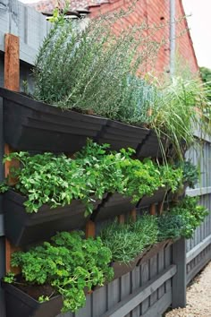 an outdoor herb garden is displayed on the side of a building with plants growing in it