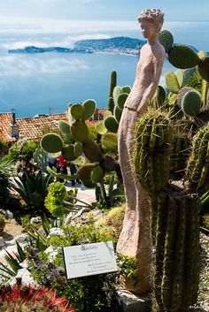 a statue is surrounded by cacti and succulents near the ocean