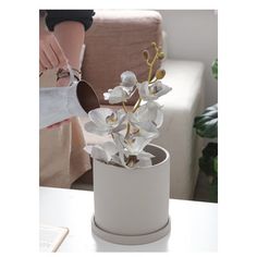 a woman pouring water into a white vase filled with flowers on top of a table