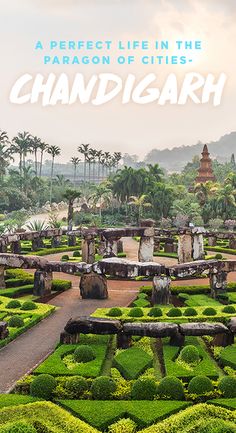 a garden filled with lots of green plants next to a lush green forest covered in trees