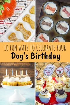 the collage has pictures of dogs birthdays and cupcakes with candles on them