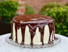 a chocolate cake with white icing on a glass platter in front of some bushes