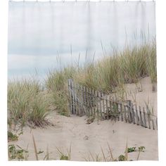 the sand dunes and beach fences are covered by sea oats