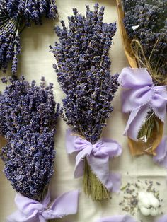 Hidcote Lavender Gift-ready! Realtor gift - housewarming gift Aromatherapy: Use freshly dried lavender bundles to fill your home with a relaxing, natural fragrance. DIY Crafts: Ideal for creating sachets, wreaths, or lavender bundles for décor. Culinary Use: Safe for culinary projects, adding a subtle floral note to dishes and desserts. Skincare & Bath: Add to bath salts or use in homemade soaps and lotions for a spa-like experience. Grown and harvested with care on my small farm, this lavender Hidcote Lavender, Benefits Of Nature, Lavender Decor, Lavender Gifts, Diy Spa, Relax Spa, Spa Kits, Gift Housewarming, Dried Lavender