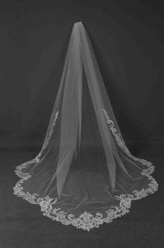 a wedding veil with an intricate lace edge