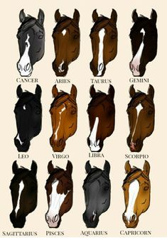 the heads of horses are drawn in different colors and shapes, including brown, black, white, and tan