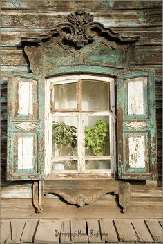 an old window with shutters open and plants in the window sill below it