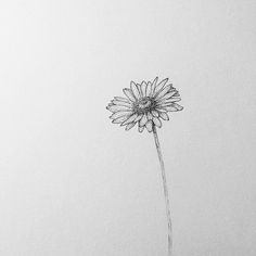 a black and white photo of a single daisy flower on a sheet of paper with ink