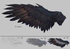 an image of some sort of black bird wings