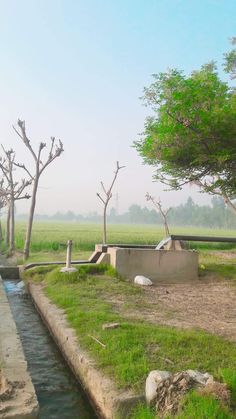 there is a small stream in the middle of an open field with trees and rocks